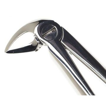 Стоматологический инструмент - Щипцы 33A (N0948), Nova